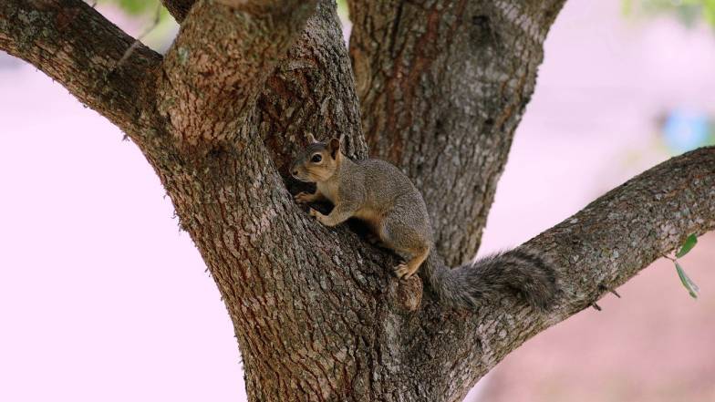 Погода у Львові на вівторок, 11 листопада