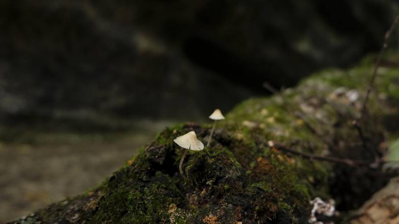 Погода в Україні на вівторок, 11 листопада