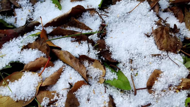 Різноманітність твердих атмосферних опадів у зимовий період