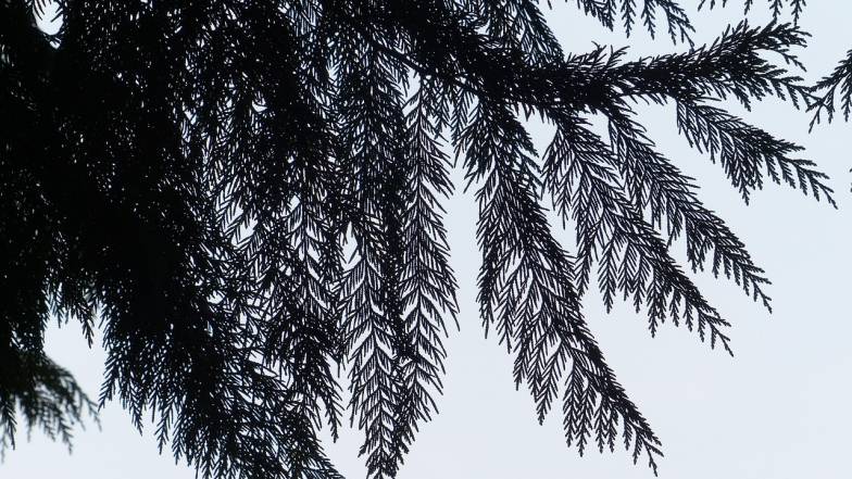 Pogoda w Polsce na czwartek, 13 listopada