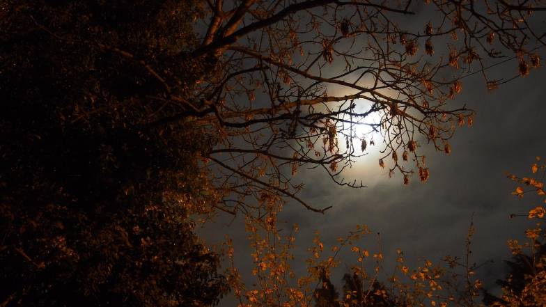 Pogoda w Polsce na piątek, 14 listopada 