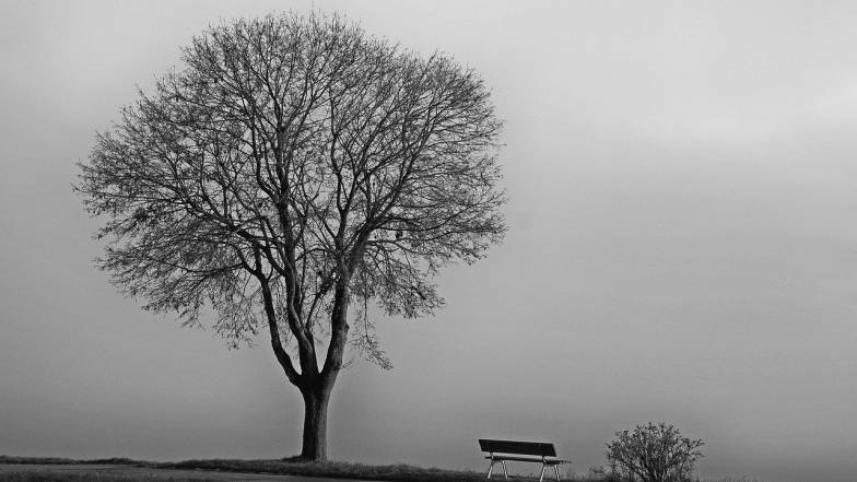 Погода на 16 ноября: местами дожди, туманы