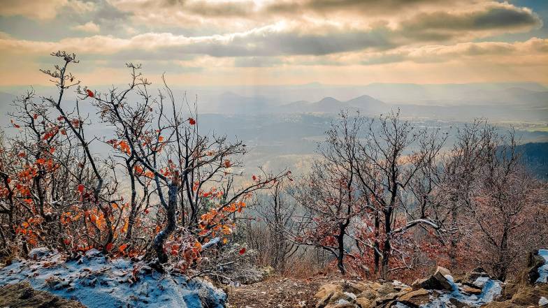 Прогноз погоди в Україні на тиждень: 17 – 23 листопада 2025