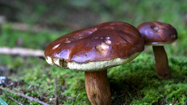 Погода в Киеве на вторник, 18 ноября