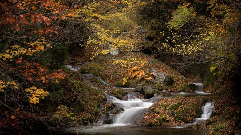 Pogoda w Polsce we wtorek, 18 listopada