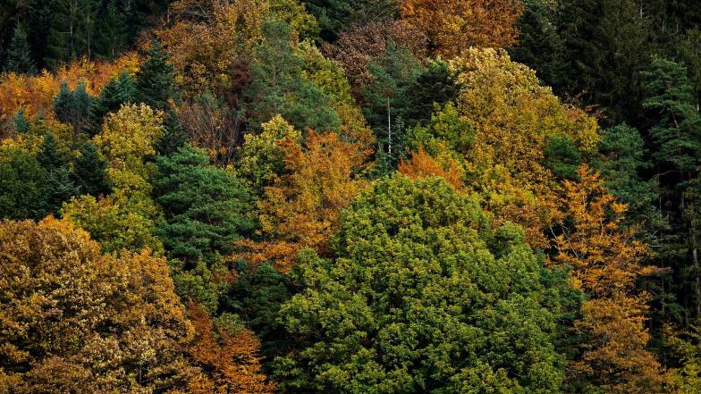 Новые температурные рекорды в Украине