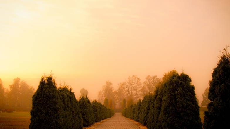 Погода в Украине на четверг, 20 ноября