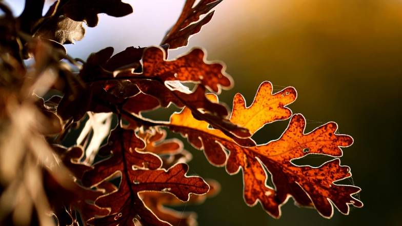 Погода в Одессе на субботу, 22 ноября