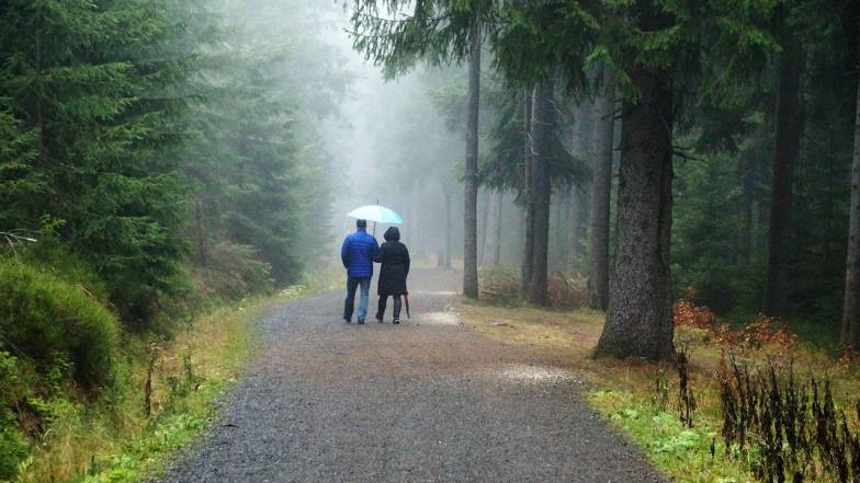 Прогноз погоды в Украине на выходные: 22 – 23 ноября 2025