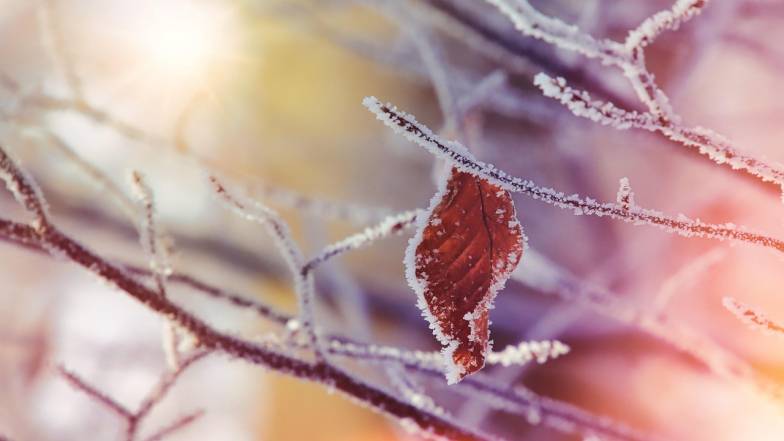 Какой будет зима в Украине в 2025 – 2026 годах?