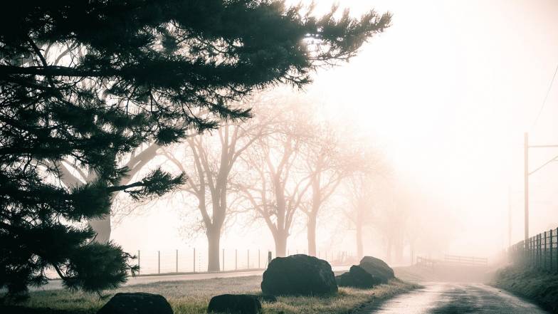 Прогноз погоди в Україні на тиждень: 24 – 30 листопада 2025