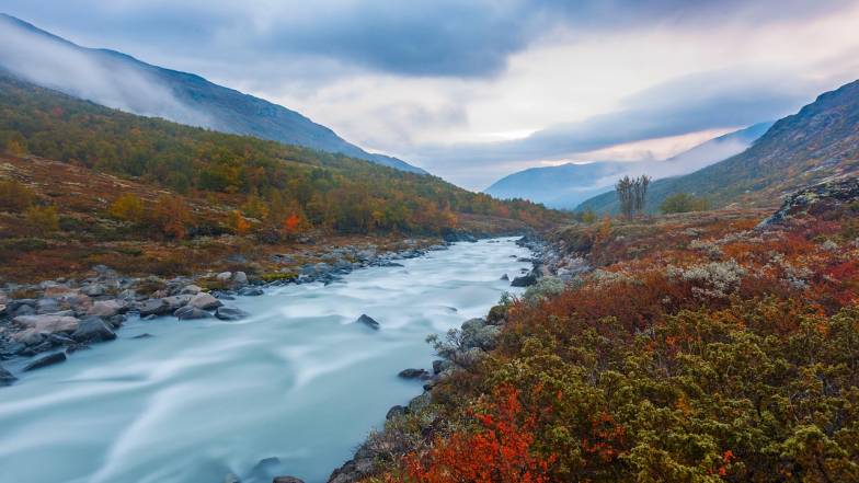 Прогноз погоды в Украине на выходные: 29 – 30 ноября 2025