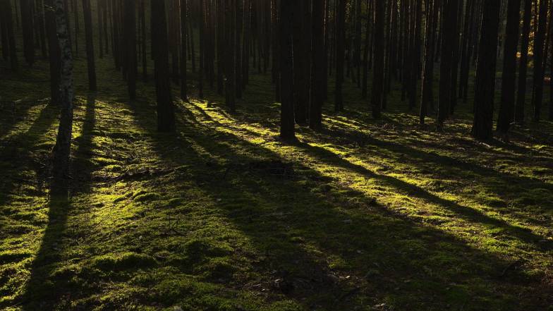 Погода в Україні на вівторок, 2 грудня