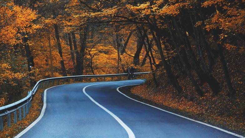 Погода на цей тиждень: на календарі - зима, за вікном - осінь