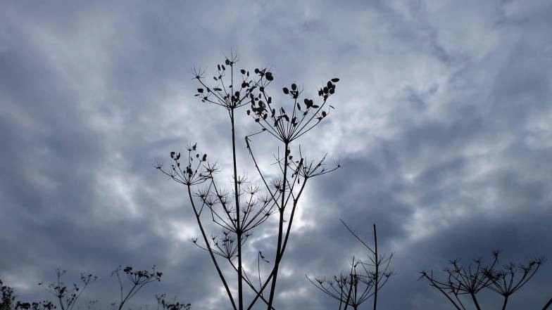 Погода на 3 грудня: переважно хмарно