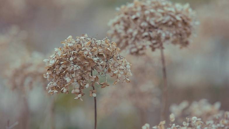 Погода у Києві на четвер, 4 грудня