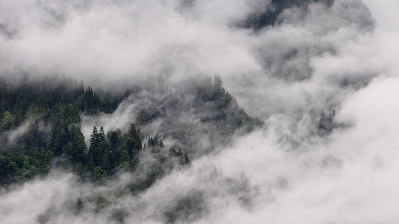 Попередження на сьогодні: сильні тумани