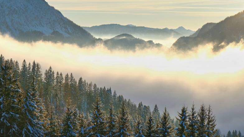 Погода в Украине на четверг, 4 декабря