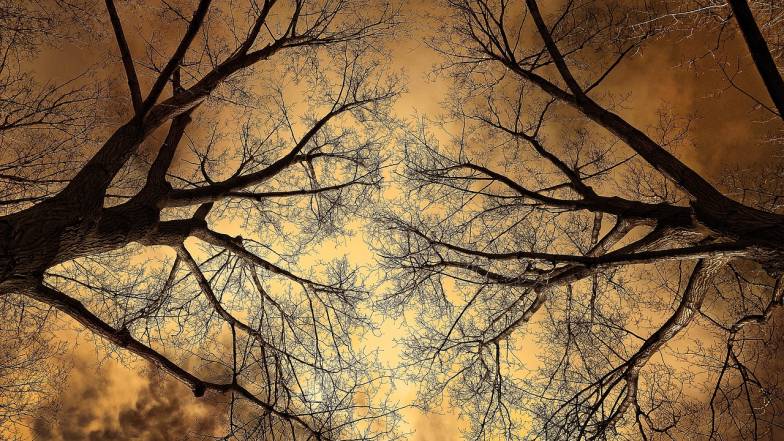 Радіаційна ситуація в Україні на 4 грудня