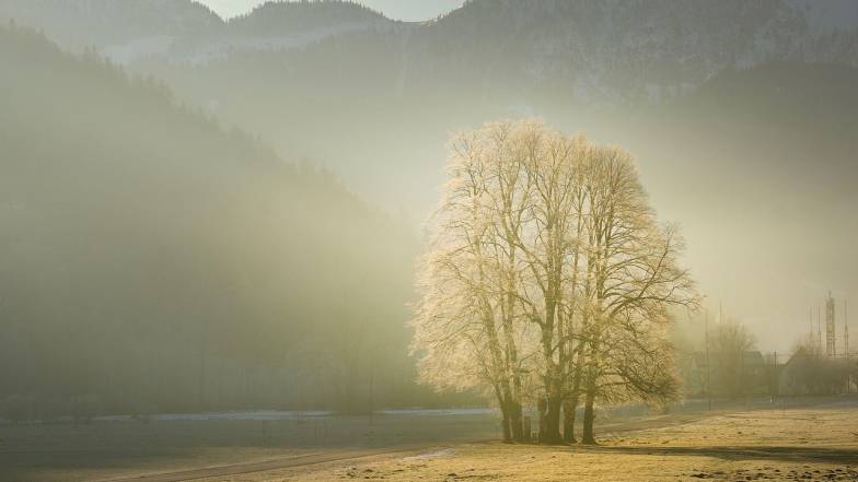 Прогноз погоди в Україні на вихідні: 6 – 7 грудня 2025