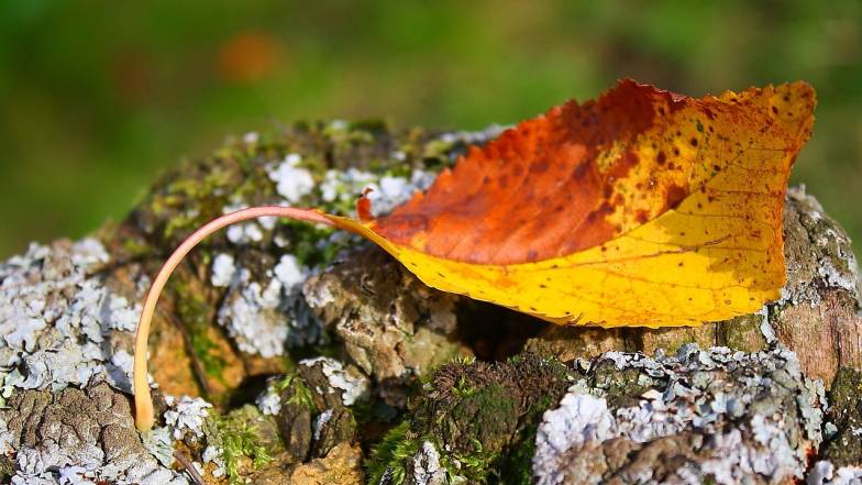 Погода в Украине на воскресенье, 7 декабря