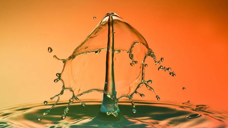 Tygodniowy horoskop na 8–14 grudnia 2025 roku dla wszystkich znaków zodiaku 