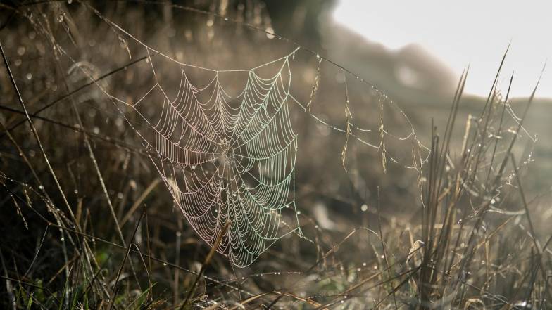 Погода в Україні на понеділок, 8 грудня