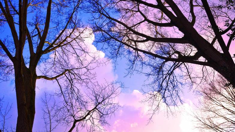 Погода у Львові на вівторок, 9 грудня