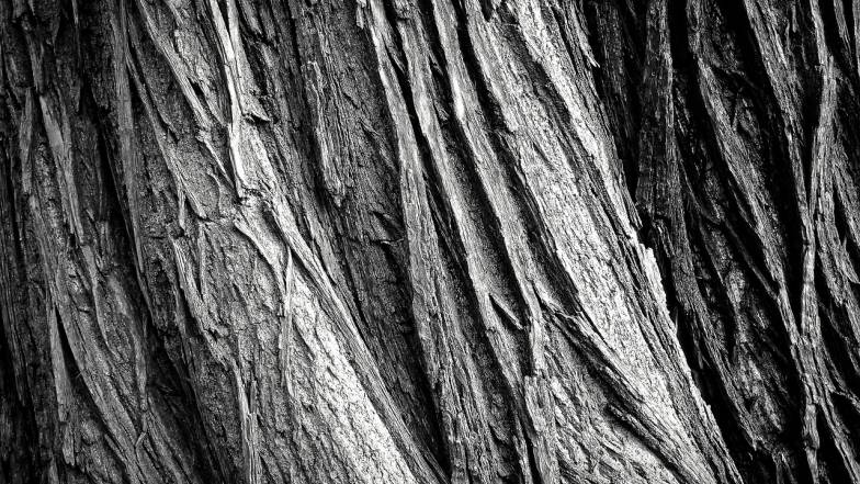 Погода в Одесі на вівторок, 9 грудня