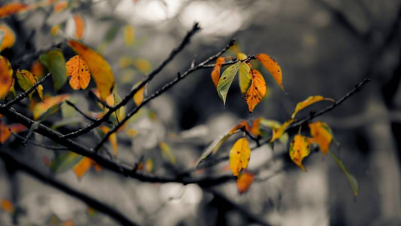 Погода во Львове на среду, 10 декабря