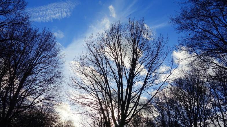 Погода у Львові на вівторок, 16 грудня