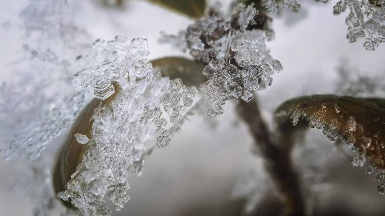 Предупреждение: сегодня сильный гололед