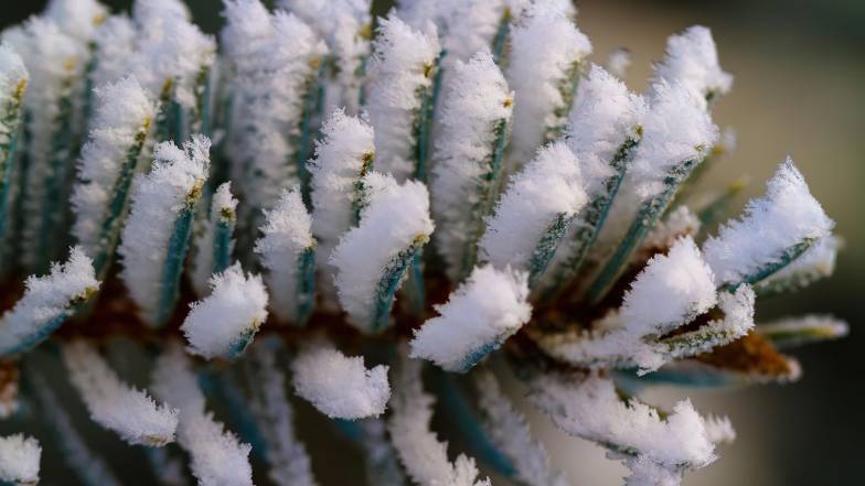 Погода в Києві на суботу, 3 січня