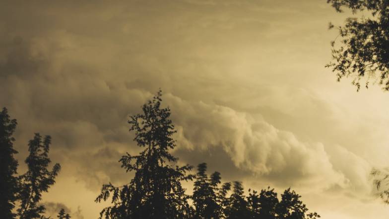 Рекордные и стихийные метеорологические явления в Украине за 2025 год. Часть 1.