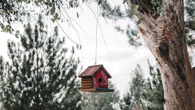 Календарь садовода и огородника на январь 2026 года