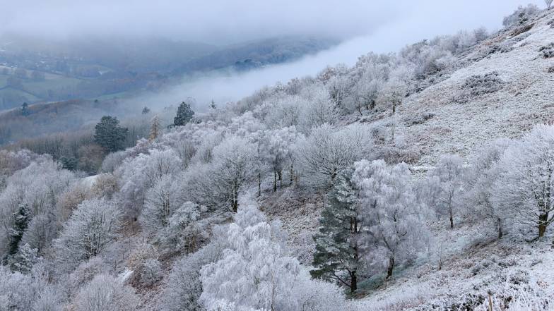 Штормовое предупреждение: сегодня сильный снег