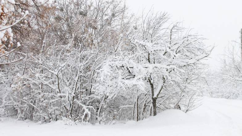 Прогноз погоди в Україні на вихідні: 10 – 11 січня 2026