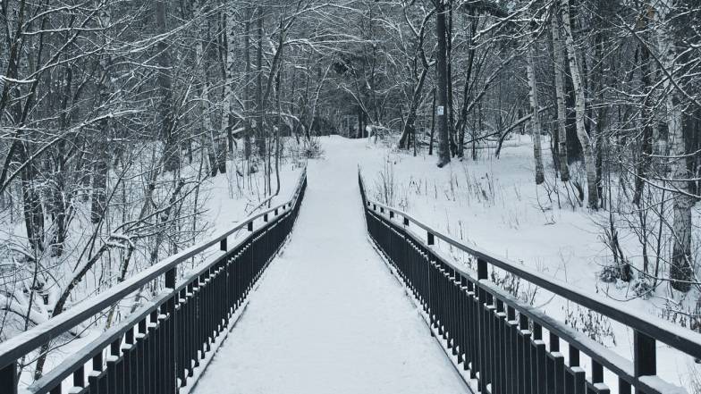 Погода в Україні на неділю, 11 січня