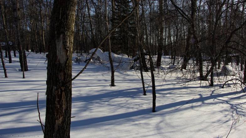 Погода 11 января: мороз, гололедица, ветер