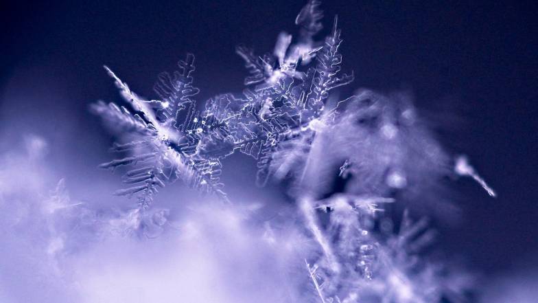 Погода в Киеве на вторник, 13 января