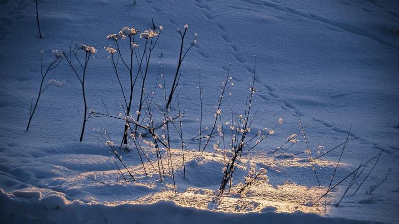 Погода у Львові на вівторок, 13 січня