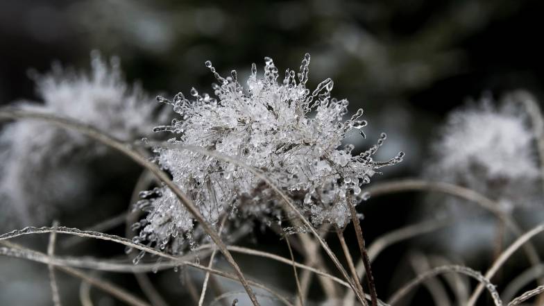 Погода в Одессе на вторник, 13 января