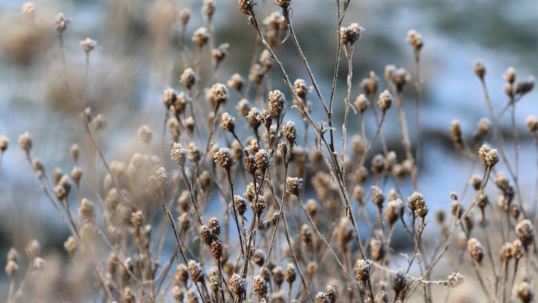 Погода в Одесі на середу, 14 січня