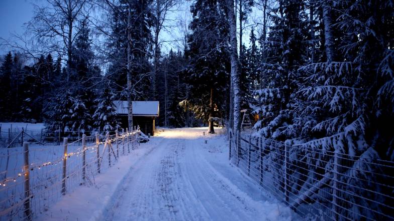 Pogoda w Polsce na czwartek, 15 stycznia