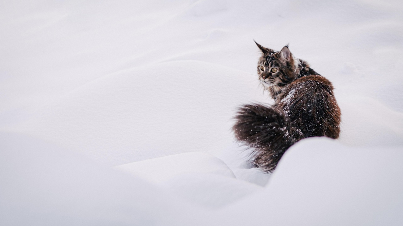 Погода в Одессе на субботу, 17 января
