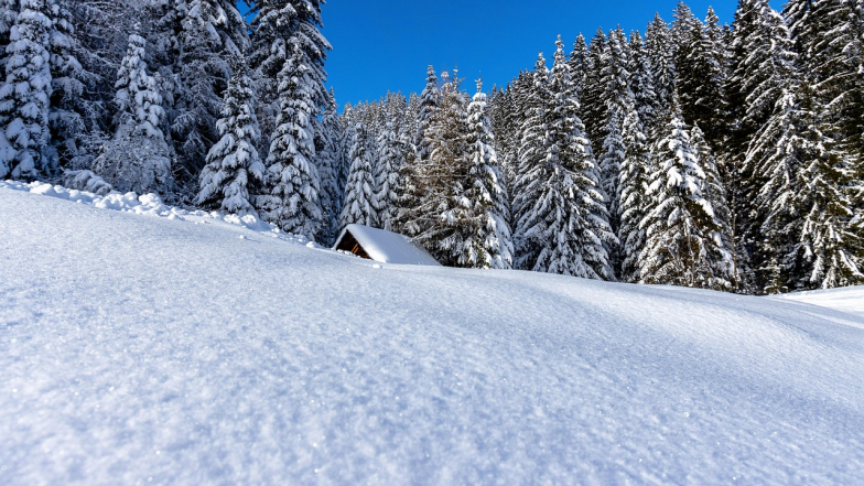 Погода в Україні на суботу, 17 січня