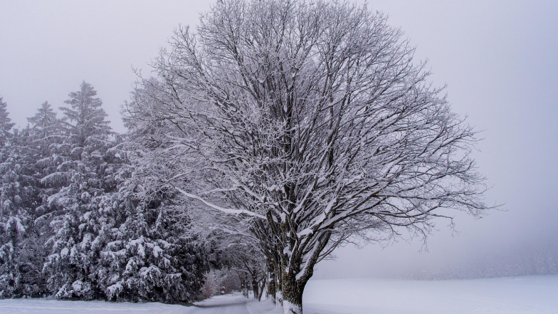 Pogoda w Polsce na niedzielę, 18 stycznia