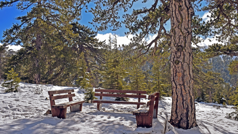 Погода в Украине на понедельник, 19 января