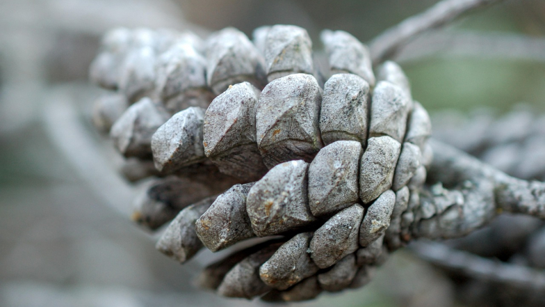 Pogoda w Polsce na środę, 21 stycznia