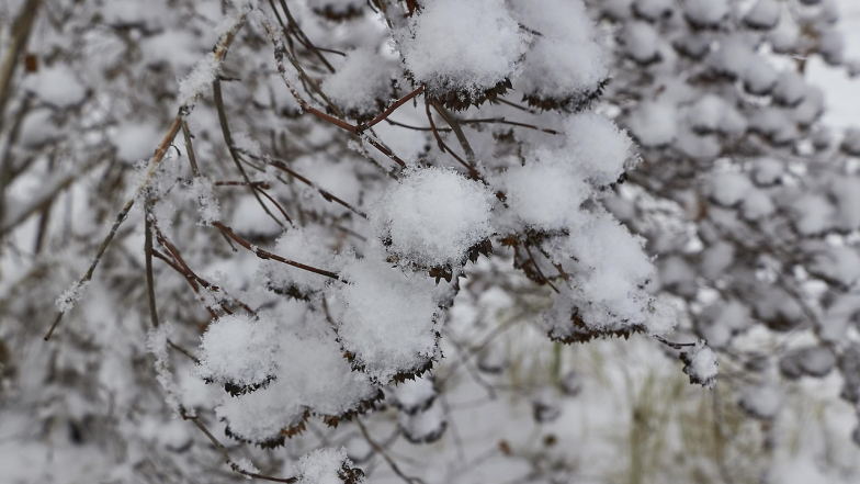 Погода в Киеве на пятницу, 23 января